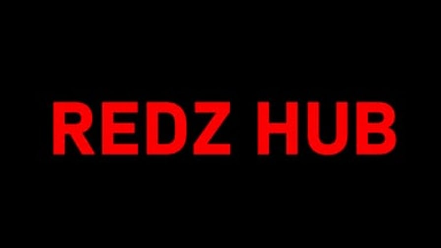 Redz Hub — Blox Fruits Auto Farm, Sea Events & Fruits (Keyless) cover